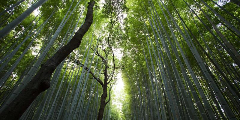 结构化数据在GEO中的实战用法：Schema标记如何让AI搜索优先引用你